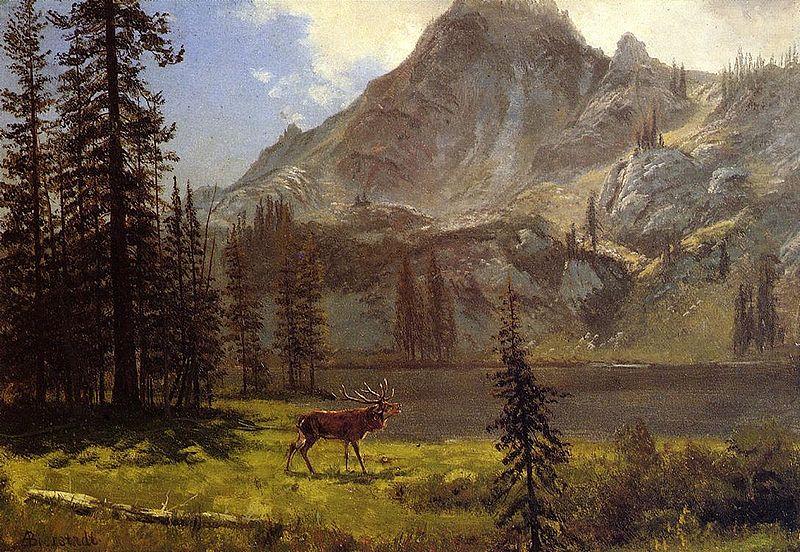 Albert Bierstadt Call Of The Wild, Albert Bierstadt